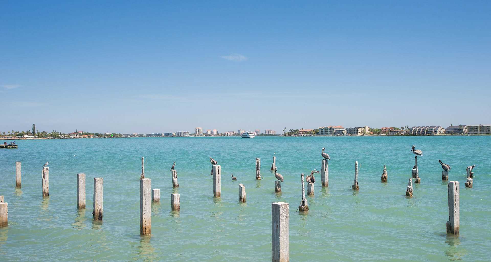 Downtown Tampa Activity